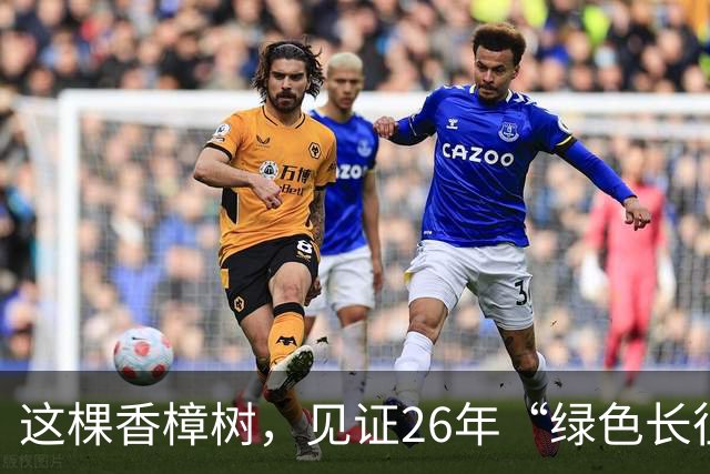这棵香樟树，见证26年“绿色长征”
